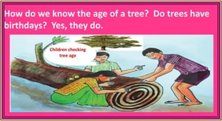 How do we know the age of a tree? Do trees have
birthdays? Yes, they do.
Children checking
tree age
 