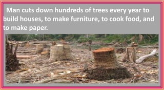Man cuts down hundreds of trees every year to
build houses, to make furniture, to cook food, and
to make paper.
 