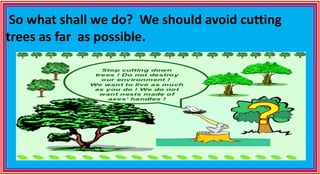 So what shall we do? We should avoid cutting
trees as far as possible.
 