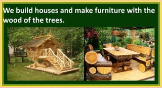 We build houses and make furniture with the
wood of the trees.
 