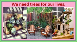 We need trees for our lives.
 