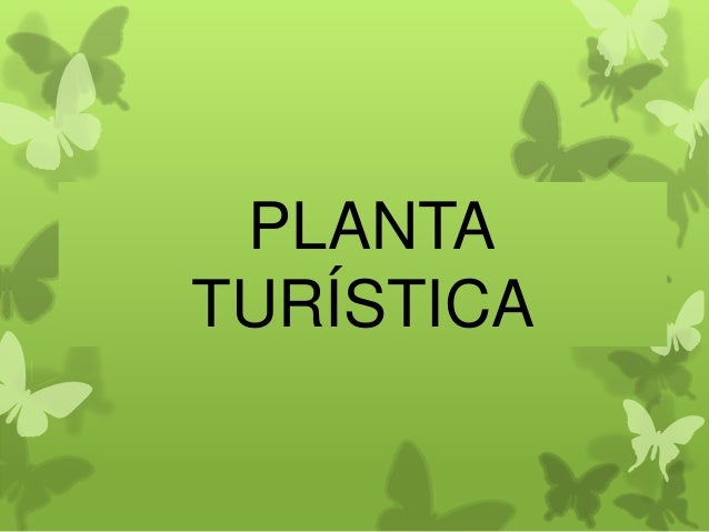 Planta turistica