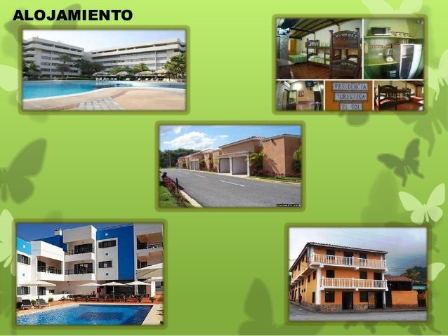 Planta turistica