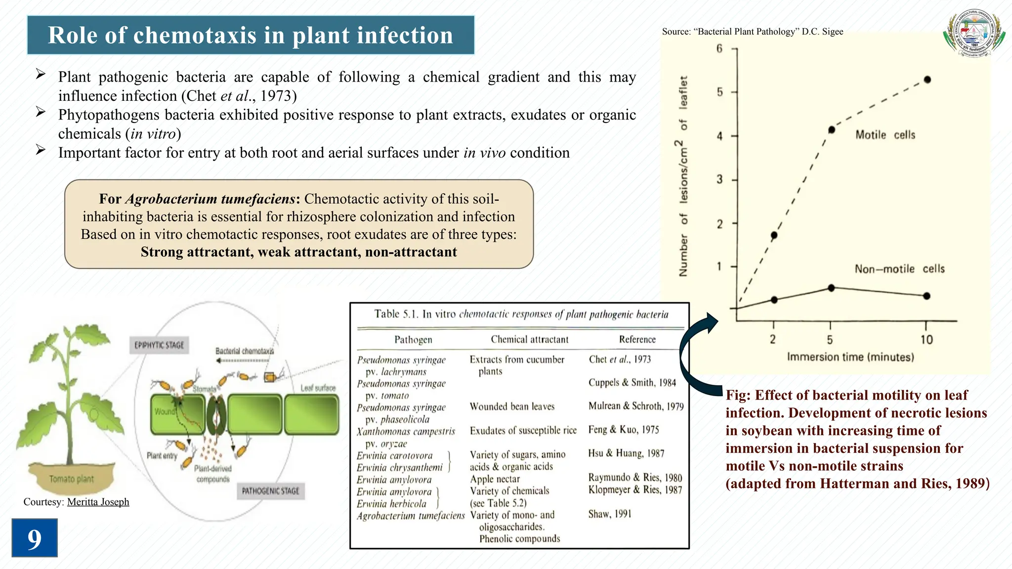 Infection Mechanism and Role of Virulence Factors by Plant Pathogenic ...