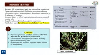 Infection Mechanism and Role of Virulence Factors by Plant Pathogenic ...