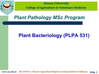 Jimma University
College of Agriculture & Veterinary Medicine
JUCAVM is a Pioneer Agricultural Higher Learning Institute in Ethiopia. Slide 1
www.ju.edu.et
Plant Pathology MSc Program
Plant Bacteriology (PLPA 531)
 