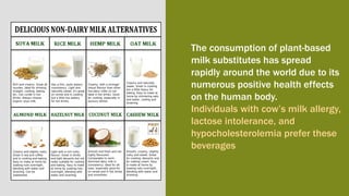 The consumption of plant-based
milk substitutes has spread
rapidly around the world due to its
numerous positive health effects
on the human body.
Individuals with cow’s milk allergy,
lactose intolerance, and
hypocholesterolemia prefer these
beverages