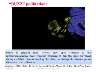 Exploring Plant Bioacoustics: How Plants Listen, Communicate, and ...