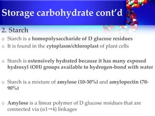 Plant biochemistry | PPTX
