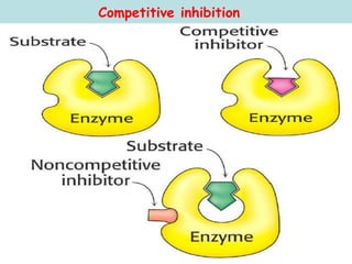 plantbiochemlecture5-enzymesb.ppt