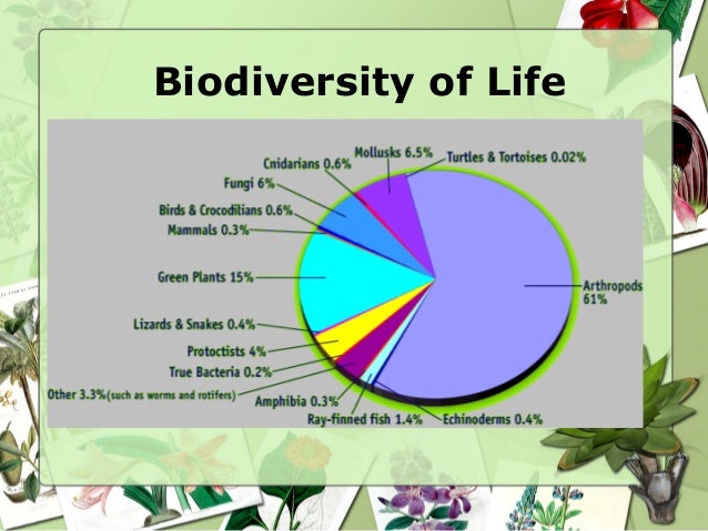 Image result for biodiversity