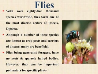 Plant Biodiversity Enhances Bees and Other Pollinators in Agro ...