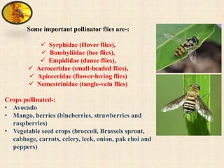 Plant Biodiversity Enhances Bees and Other Pollinators in Agro ...