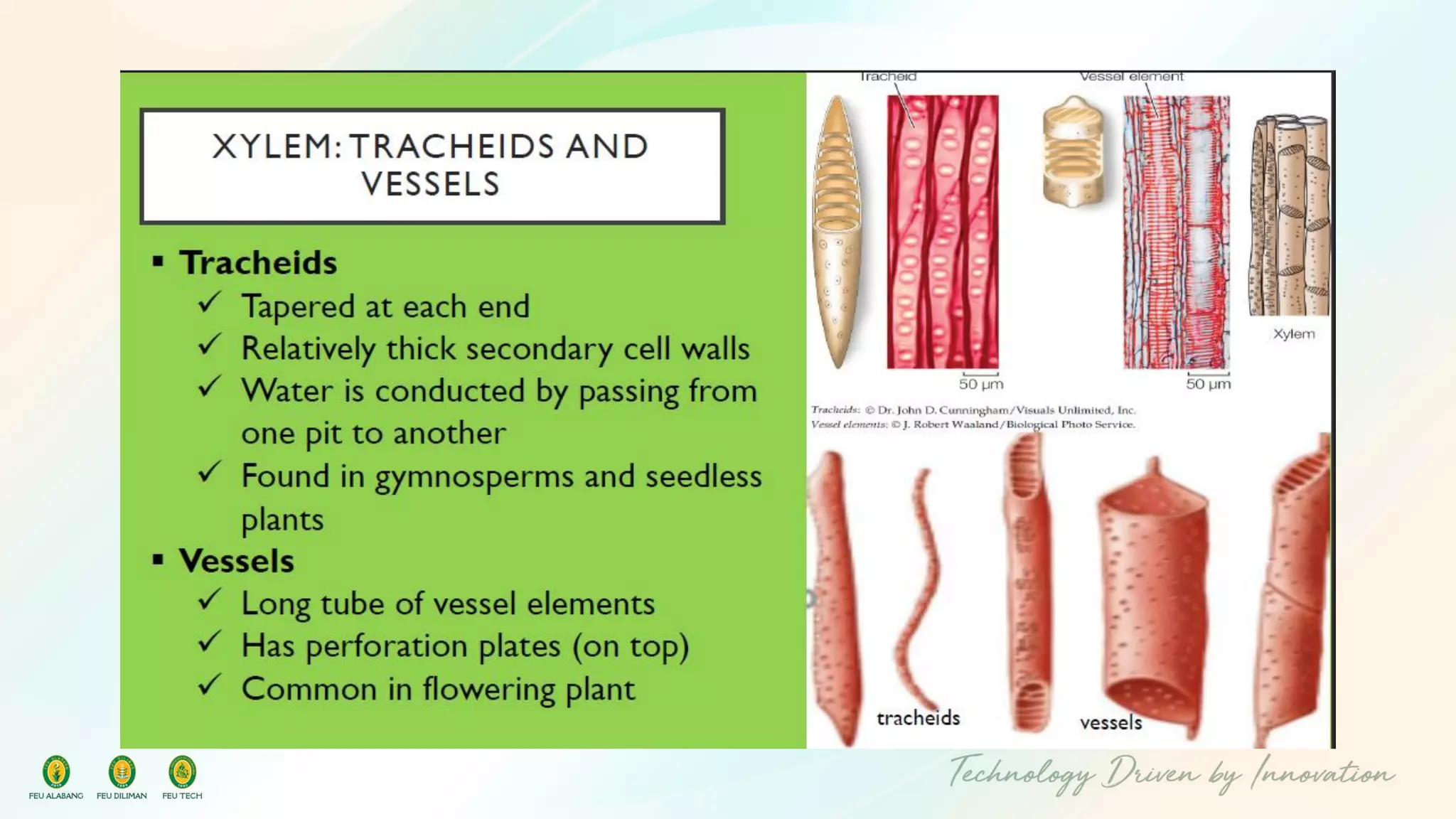 Plant-Biology-pdf-38-2048.jpg