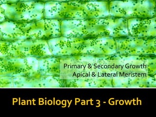 Primary & Secondary Growth
Apical & Lateral Meristem
Plant Biology Part 3 - Growth
 