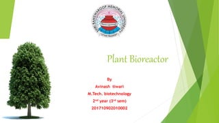 Plant Bioreactor
By
Avinash tiwari
M.Tech. biotechnology
2nd year (3rd sem)
201710902010002
 