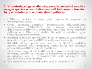 2) Virus-induced gene silencing reveals control of reactive
oxygen species accumulation and salt tolerance in tomato
by γ -aminobutyric acid metabolic pathway:
• GABA accumulates in many plant species in response to
environmental stress.
• Genes, including glutamate decarboxylases (SlGADs),GABA
transaminases (SlGABA-Ts) and succinic semi-aldehyde
dehydrogenase(SlSSADH), controlling three steps of the metabolic
pathway of GABA, were studied through virus-induced gene
silencing approach in tomato.
• Silencing of SlGADs and SlGABA-Ts led to increased accumulation
of reactive oxygen species (ROS) as well as salt sensitivity.
• SlSSADH silenced plants, also defective in GABA degradation
process, showed dwarf phenotype, curled leaves and enhanced
accumulation of ROS in normal conditions.
• These results suggest that GABA shunt is involved in salt tolerance
of tomato, probably by affecting the homeostasis of metabolites such
as succinate and γ -hydroxybutyrate and subsequent ROS
accumulation under salt stress.
• This research was conducted by Bao et al. in the year 2015.
 