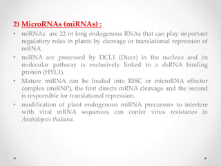 2) MicroRNAs (miRNAs) :
• miRNAs are 22 nt long endogenous RNAs that can play important
regulatory roles in plants by cleavage or translational repression of
mRNA.
• miRNA are processed by DCL1 (Dicer) in the nucleus and its
molecular pathway is exclusively linked to a dsRNA binding
protein (HYL1).
• Mature miRNA can be loaded into RISC or microRNA effector
complex (miRNP), the first directs mRNA cleavage and the second
is responsible for translational repression.
• modification of plant endogenous miRNA precursors to interfere
with viral mRNA sequences can confer virus resistance in
Arabidopsis thaliana.
 