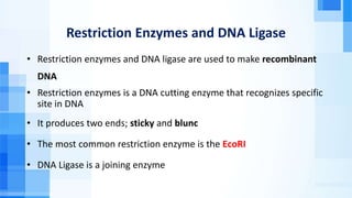 Restriction Enzymes and DNA Ligase
• Restriction enzymes and DNA ligase are used to make recombinant
DNA
• Restriction enzymes is a DNA cutting enzyme that recognizes specific
site in DNA
• It produces two ends; sticky and blunc
• The most common restriction enzyme is the EcoRI
• DNA Ligase is a joining enzyme
 