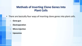 Methods of Inserting Clone Genes Into
Plant Cells
• There are basically four ways of inserting clone genes into plant cells.
̶ Gene-gun
̶ Electroporation
̶ Micro-injection
̶ Liposomes
 