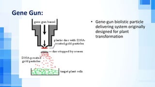 Gene Gun:
• Gene-gun biolistic particle
delivering system originally
designed for plant
transformation
 