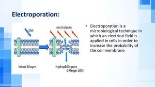 Electroporation:
• Electroporation is a
microbiological technique in
which an electrical field is
applied in cells in order to
increase the probability of
the cell membrane
 