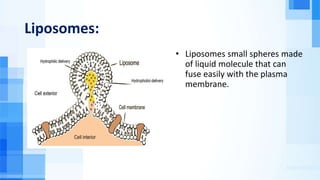 Liposomes:
• Liposomes small spheres made
of liquid molecule that can
fuse easily with the plasma
membrane.
 