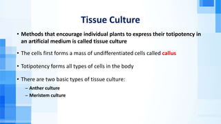 Tissue Culture
• Methods that encourage individual plants to express their totipotency in
an artificial medium is called tissue culture
• The cells first forms a mass of undifferentiated cells called callus
• Totipotency forms all types of cells in the body
• There are two basic types of tissue culture:
̶ Anther culture
̶ Meristem culture
 