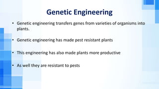 Genetic Engineering
• Genetic engineering transfers genes from varieties of organisms into
plants.
• Genetic engineering has made pest resistant plants
• This engineering has also made plants more productive
• As well they are resistant to pests
 