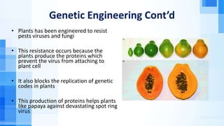 Genetic Engineering Cont’d
• Plants has been engineered to resist
pests viruses and fungi
• This resistance occurs because the
plants produce the proteins which
prevent the virus from attaching to
plant cell
• It also blocks the replication of genetic
codes in plants
• This production of proteins helps plants
like papaya against devastating spot ring
virus
 