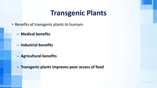 Transgenic Plants
• Benefits of transgenic plants to humans
̶ Medical benefits
̶ Industrial benefits
̶ Agricultural benefits
̶ Transgenic plants improves poor access of food
 