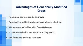 Advantages of Genetically Modified
Crops
• Nutritional content can be improved
• Genetically modified foods can have a longer shelf life
• We receive medical benefits from GM crops
• It creates foods that are more appealing to eat
• GM foods are easier to transport
 