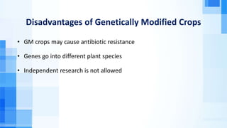 Disadvantages of Genetically Modified Crops
• GM crops may cause antibiotic resistance
• Genes go into different plant species
• Independent research is not allowed
 
