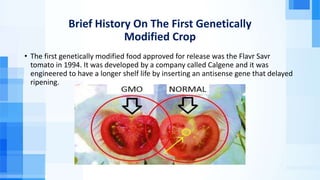 Brief History On The First Genetically
Modified Crop
• The first genetically modified food approved for release was the Flavr Savr
tomato in 1994. It was developed by a company called Calgene and it was
engineered to have a longer shelf life by inserting an antisense gene that delayed
ripening.
 