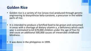 Golden Rice
• Golden rice is a variety of rice (oryza rice) produced through genetic
engineering to biosynthsize beta-carotene, a precursor in the edible
parts of rice.
• It is intended to produce a fortified food to be grown and consumed
in areas with a shortage of dietary vitamin a, a deficiency which each
year is estimated to kill 670,000 children under the age of five (5)
and cause an additional 500,000 causes of irreversible childhood
blindness.
• It was done in the philippines in 1999.
 