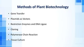 Methods of Plant Biotechnology
• Gene Transfer
• Plasmids as Vectors
• Restriction Enzymes and DNA Ligase
• Cloning
• Polymerase Chain Reaction
• Tissue Culture
 