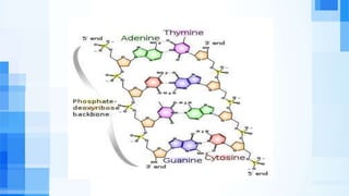plantbiotechnologydrew-190124090457.pdf