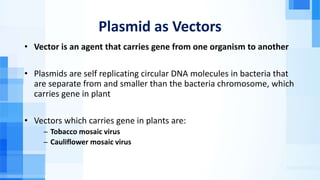 Plasmid as Vectors
• Vector is an agent that carries gene from one organism to another
• Plasmids are self replicating circular DNA molecules in bacteria that
are separate from and smaller than the bacteria chromosome, which
carries gene in plant
• Vectors which carries gene in plants are:
̶ Tobacco mosaic virus
̶ Cauliflower mosaic virus
 