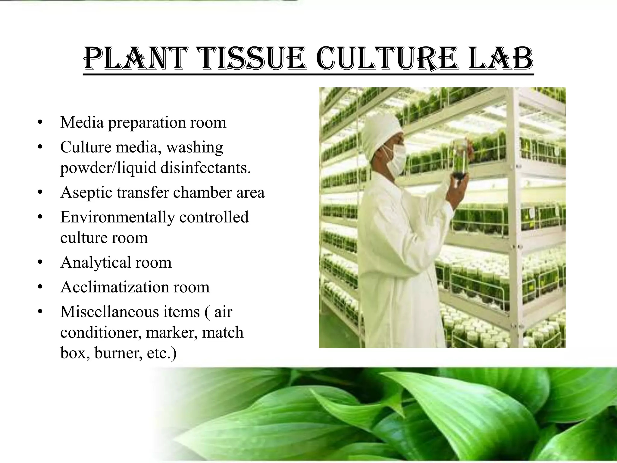 Plant tissue culture labMedia preparation roomCulture media, washing powder/liquid disinfectants.Aseptic transfer chamber areaEnvironmentally controlled culture roomAnalytical roomAcclimatization roomMiscellaneous items ( air conditioner, marker, match box, burner, etc.)