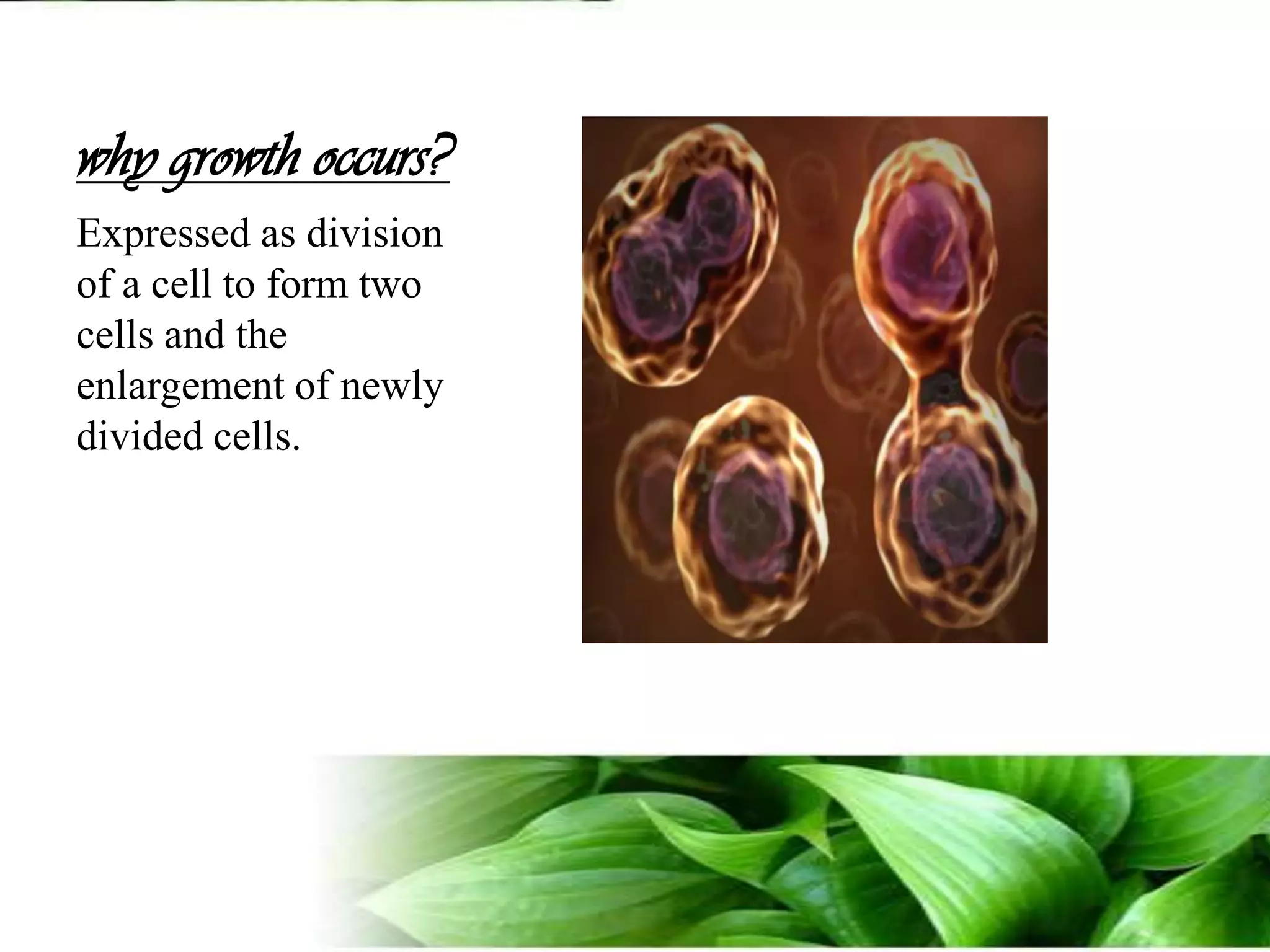 why growth occurs?Expressed as division of a cell to form two cells and the enlargement of newly divided cells.