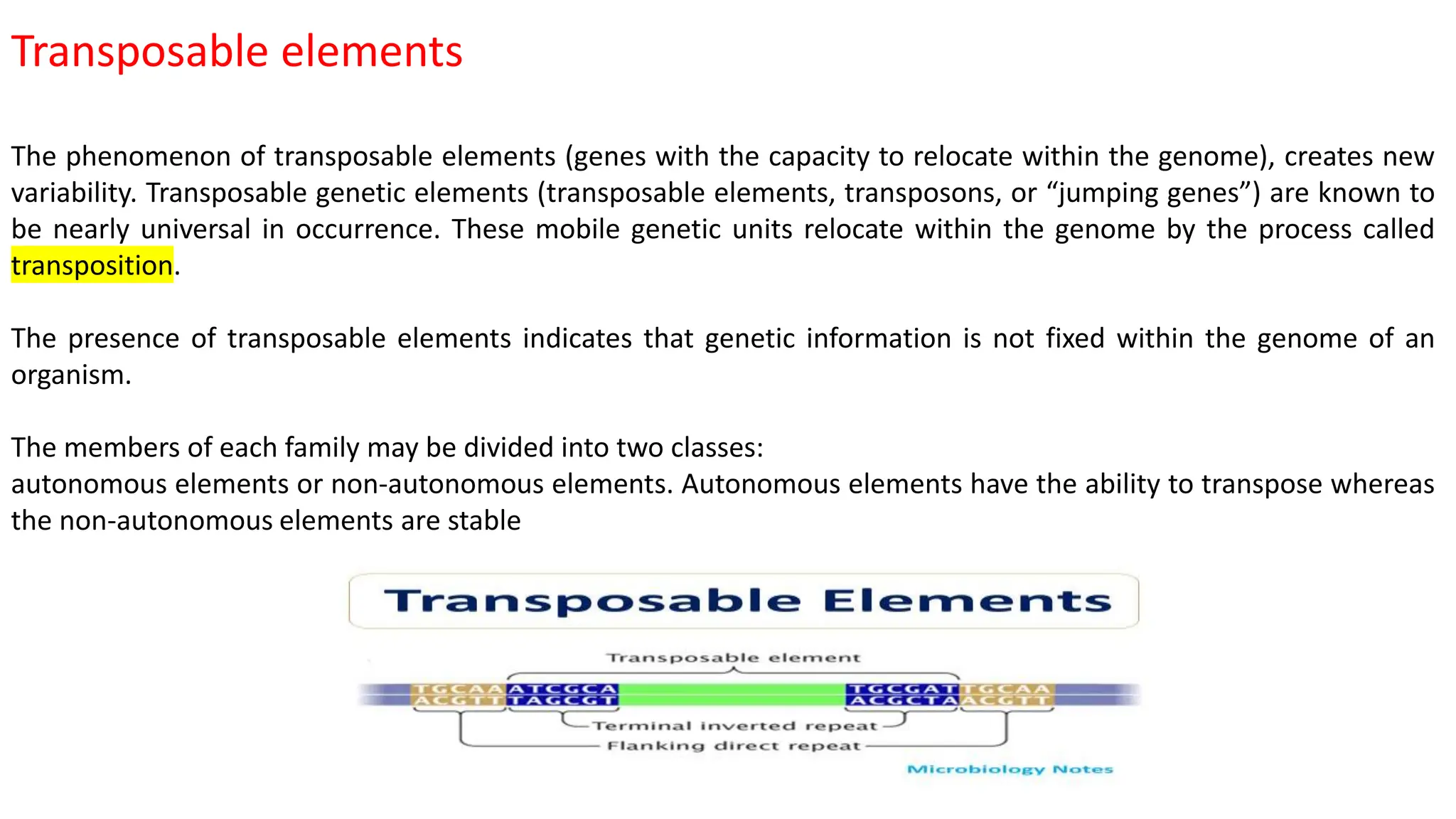 Transposable elements
The phenomenon of transposable elements (genes with the capacity to relocate within the genome), creates new
variability. Transposable genetic elements (transposable elements, transposons, or “jumping genes”) are known to
be nearly universal in occurrence. These mobile genetic units relocate within the genome by the process called
transposition.
The presence of transposable elements indicates that genetic information is not fixed within the genome of an
organism.
The members of each family may be divided into two classes:
autonomous elements or non-autonomous elements. Autonomous elements have the ability to transpose whereas
the non-autonomous elements are stable
 