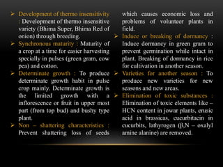  Development of thermo insensitivity
: Development of thermo insensitive
variety (Bhima Super, Bhima Red of
onion) through breeding.
 Synchronous maturity : Maturity of
a crop at a time for easier harvesting
specially in pulses (green gram, cow
pea) and cotton.
 Determinate growth : To produce
determinate growth habit in pulse
crop mainly. Determinate growth is
the limited growth with a
inflorescence or fruit in upper most
part (from top bud) and bushy type
plant.
 Non – shattering characteristics :
Prevent shattering loss of seeds
which causes economic loss and
problems of volunteer plants in
field.
 Induce or breaking of dormancy :
Induce dormancy in green gram to
prevent germination while intact in
plant. Breaking of dormancy in rice
for cultivation in another season.
 Varieties for another season : To
produce new varieties for new
seasons and new areas.
 Elimination of toxic substances :
Elimination of toxic elements like –
HCN content in jowar plants, erusic
acid in brassicas, cucurbitacin in
cucurbits, lathyrogen (β,N – oxalyl
amine alanine) are removed.
 