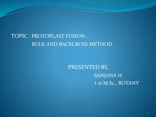 TOPIC : PROTOPLAST FUSION .
BULK AND BACKCROSS METHOD .
PRESENTED BY,
SANJANA H
1 st M.Sc., BOTANY
1
 