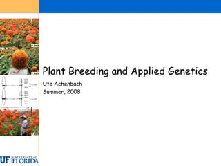 Plant Breeding and Applied Genetics
Ute Achenbach
Summer, 2008
 