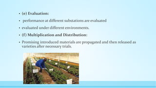 • (e) Evaluation:
• performance at different substations are evaluated
• evaluated under different environments.
• (f) Multiplication and Distribution:
• Promising introduced materials are propagated and then released as
varieties after necessary trials.
 