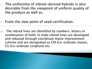  The uniformity of inbred-derived hybrids is also
desirable from the viewpoint of uniform quality of
the produce as well as.
 From the view point of seed certification.
 The inbred lines are identified by numbers, letters or
combination of both. In India inbred lines are developed
and released through coordinate maize improvement
scheme and are designated as CM (Co-ordinate maize),
CS (Co-ordinate sorghum) etc.
 