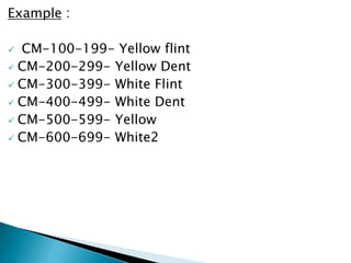 Example :
 CM-100-199- Yellow flint
 CM-200-299- Yellow Dent
 CM-300-399- White Flint
 CM-400-499- White Dent
 CM-500-599- Yellow
 CM-600-699- White2
 