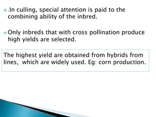  .In culling, special attention is paid to the
combining ability of the inbred.
 Only inbreds that with cross pollination produce
high yields are selected.
The highest yield are obtained from hybrids from
lines, which are widely used. Eg: corn production.
 