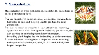 Plant Breeding: Principles, Methods and applications | PPTX