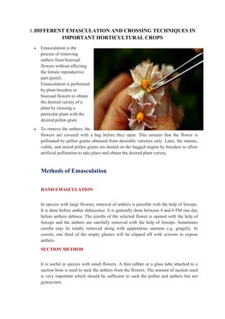 3. DIFFERENT EMASCULATION AND CROSSING TECHNIQUES IN
IMPORTANT HORTICULTURAL CROPS
 Emasculation is the
process of removing
anthers from bisexual
flowers without affecting
the female reproductive
part (pistil).
Emasculation is performed
by plant breeders in
bisexual flowers to obtain
the desired variety of a
plant by crossing a
particular plant with the
desired pollen grain.
 To remove the anthers, the
flowers are covered with a bag before they open. This ensures that the flower is
pollinated by pollen grains obtained from desirable varieties only. Later, the mature,
viable, and stored pollen grains are dusted on the bagged stigma by breeders to allow
artificial pollination to take place and obtain the desired plant variety.
Methods of Emasculation
HAND EMASCULATION
In species with large flowers, removal of anthers is possible with the help of forceps.
It is done before anther dehiscence. It is generally done between 4 and 6 PM one day
before anthers dehisce. The corolla of the selected flower is opened with the help of
forceps and the anthers are carefully removed with the help of forceps. Sometimes
corolla may be totally removed along with epipetalous stamens e.g. gingelly. In
cereals, one third of the empty glumes will be clipped off with scissors to expose
anthers.
SUCTION METHOD
It is useful in species with small flowers. A thin rubber or a glass tube attached to a
suction hose is used to suck the anthers from the flowers. The amount of suction used
is very important which should be sufficient to suck the pollen and anthers but not
gynoecium.
 